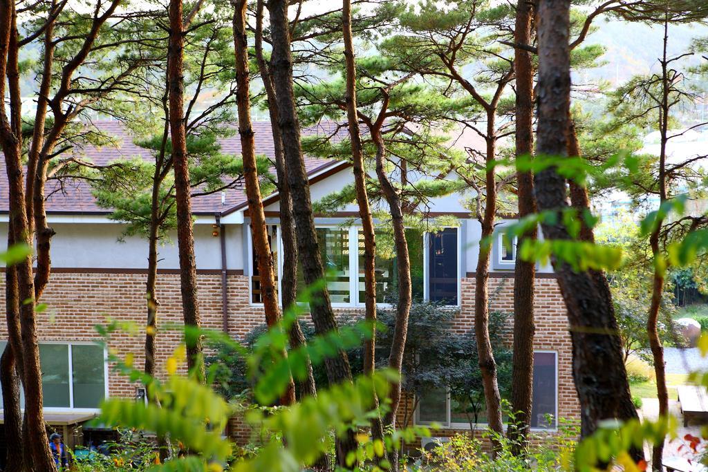 Casa Seorak Bed And Breakfast Sokcho Exterior photo